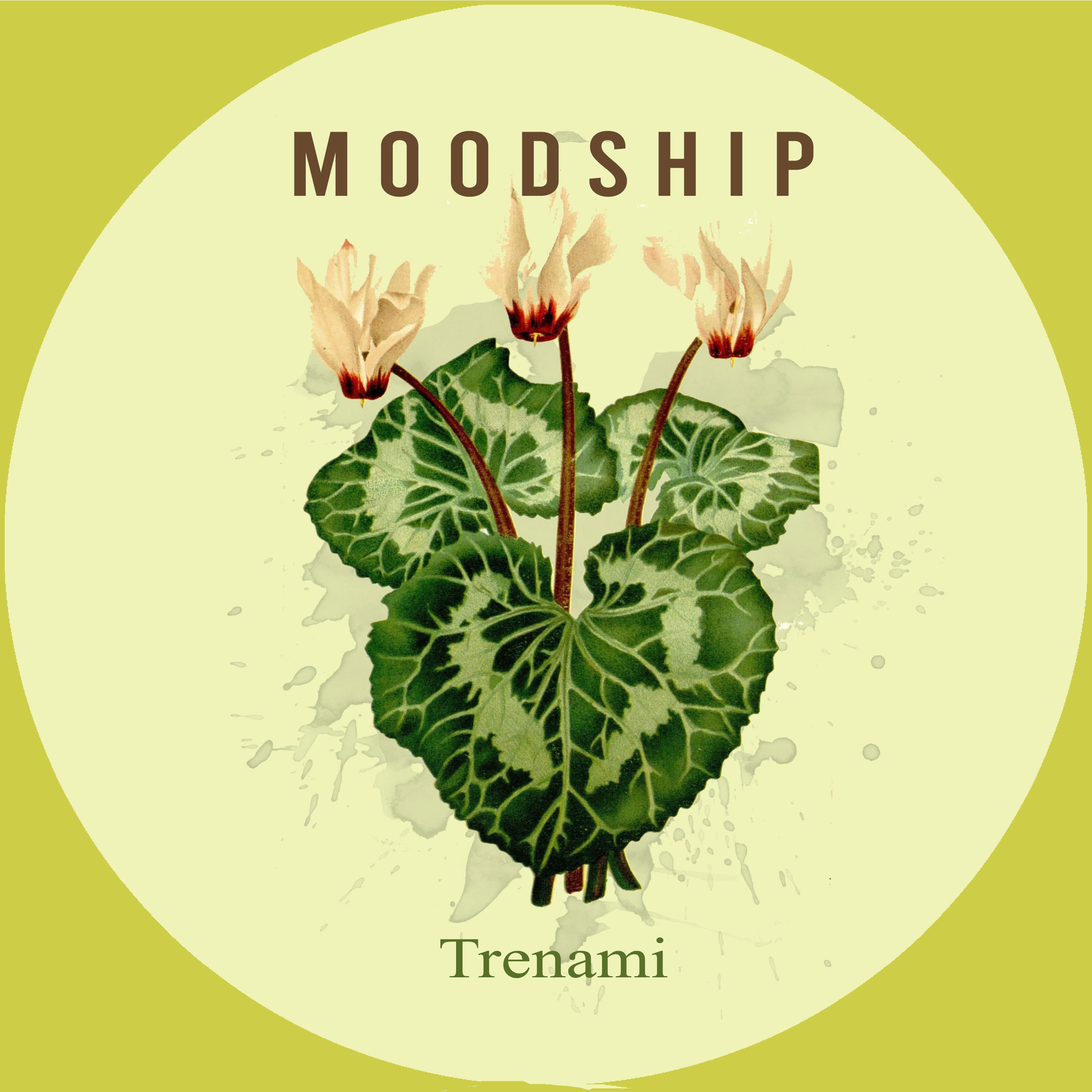 Trenami